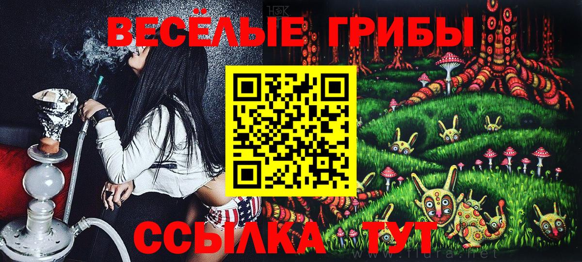 Зеленокумск  Галлюциногенные грибы Magic Shrooms  Вход с VPN  Псилоцибиновые грибы Psilocybine cubensis 